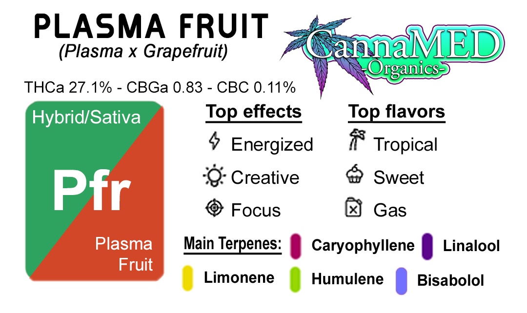 Plasma Fruit / 1/8